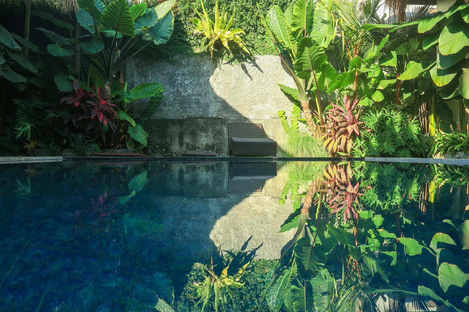 Tropical planting reflected in the private pool